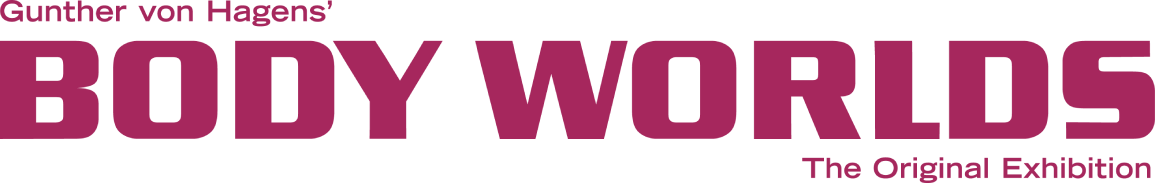 Body Worlds — The Original Exhibition